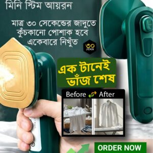 "মিনি পোর্টেবল স্টিম আয়রন